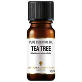 Amphora Aromatics - Tea Tree Essential Oil (10ml)