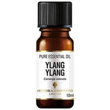 Amphora Aromatics - Ylang Ylang Essential Oil (10ml)